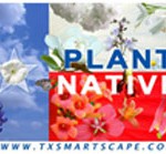 Plant Native